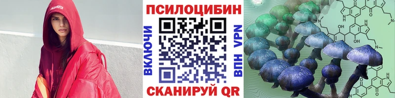 Псилоцибиновые грибы Psilocybe  Балашиха 